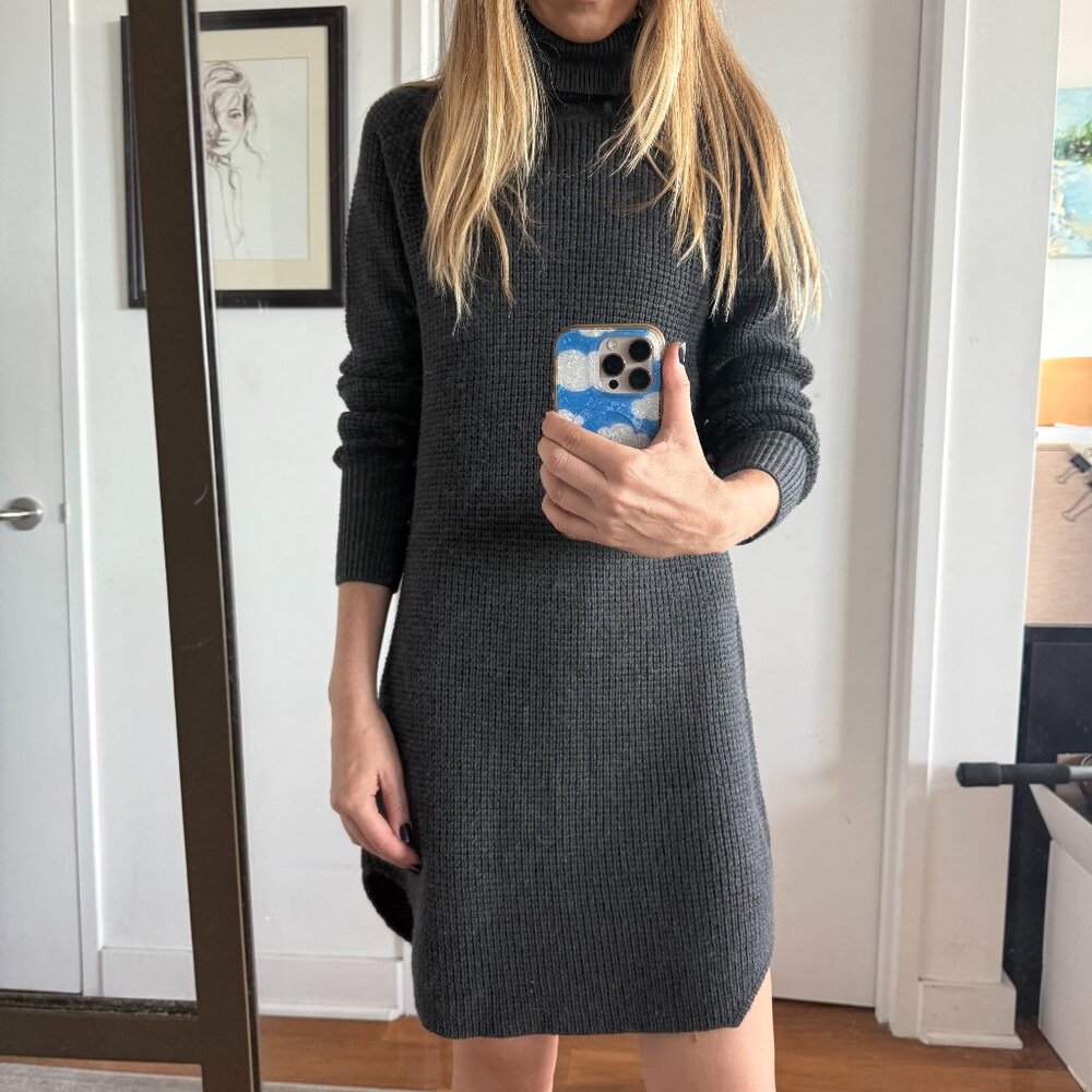 Aritzia Wilfred Free Bianca Sweater Dress (XS)